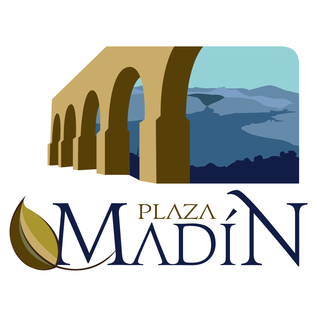 Plaza Madín